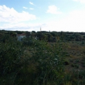 Marbella property: Land for sale in Marbella 283289