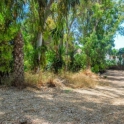 Marbella property: Land for sale in Marbella 283296