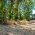 Marbella property: Malaga, Spain Land 283296