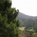 Benahavis property: bedroom Land in Benahavis, Spain 283324