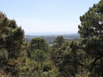 Benahavis property: Land for sale in Benahavis, Spain 283334