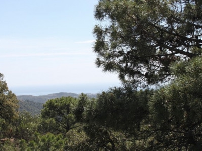 Benahavis property: Land with bedroom in Benahavis, Spain 283334