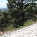 Benahavis property: Malaga, Spain Land 283334