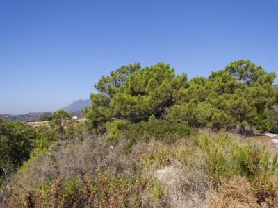 Benahavis property: Benahavis, Spain | Land for sale 283339