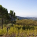 Benahavis property:  Land in Malaga 283339