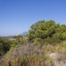 Benahavis property: Malaga Land, Spain 283339