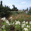 Marbella property: Land for sale in Marbella 283351