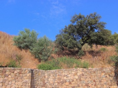 Marbella property: Malaga property | bedroom Land 283359