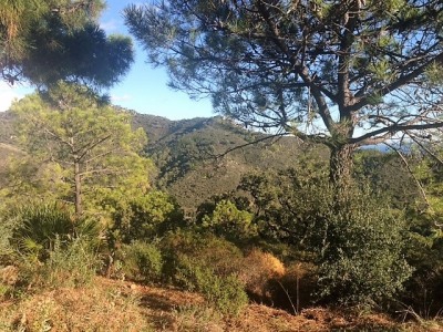 Benahavis property: Land for sale in Benahavis, Malaga 283361