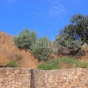 Marbella property: Land for sale in Marbella 283456