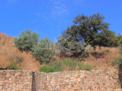 Marbella property: Land for sale in Marbella 283456